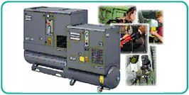 Screw Compressors (Gx 2-11)