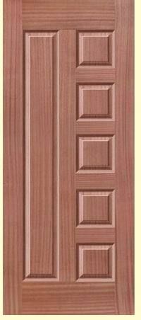 Door Skin