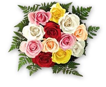 Multi Colored Roses