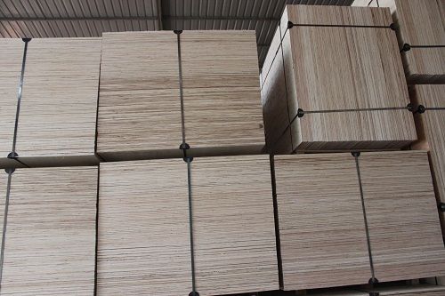 Furniture Plywood 18Mm Core Material: Eucaly