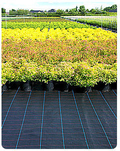 Ground Cover For Agriculture