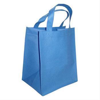 Carry Bag