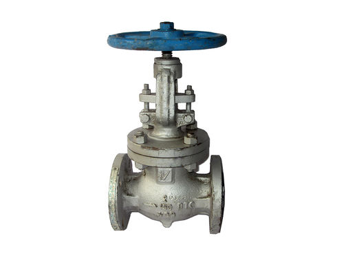 Gate Globe Valve