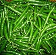 Green Chilli