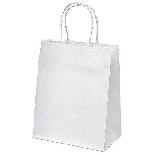 Paper Carry Bag With Handle