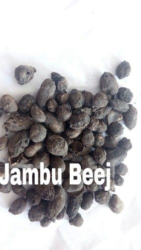 Jambu Seed