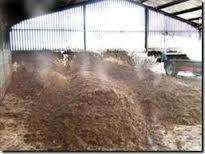 Organic Manure