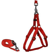 Rigid Dog Harness