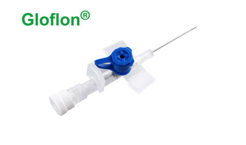 IV Catheter with Injection Port and Wings