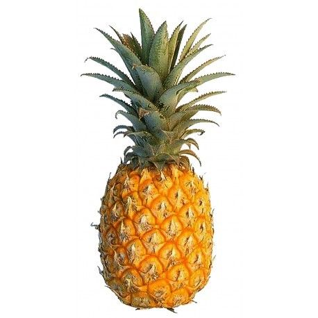 Premium Pineapple Fruit