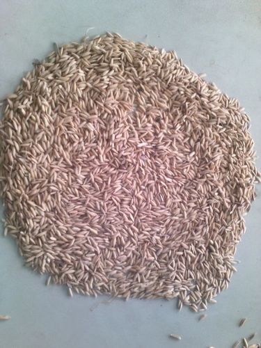 Sikua 1 Wheat Barley Pulses