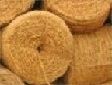 Coir Ropes