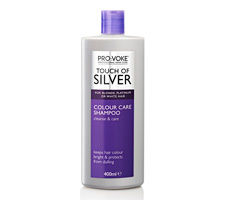 Touch Of Silver Hair Color Shampoo