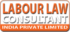 Labour Law Consultancy Services By Labour Law Consultants India Pvt Ltd