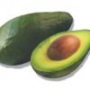 Avacado