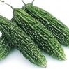 Bitter Gourd ( Karela)