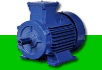 Industrial Motors