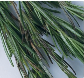 Rosemary Oil