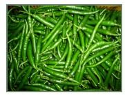 Fresh Green Chilli