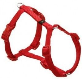 Harness Red