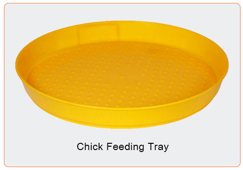 Chick Feeding Tray