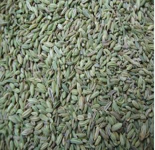 Fennel Seeds