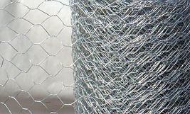 Chicken Mesh/hexagonal Wire Mesh