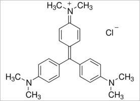 Gentian Violet Antiseptic Dye - Effective Treatment for Skin Fungal Infections, Minor Cuts and Scrapes, Gentle on Skin