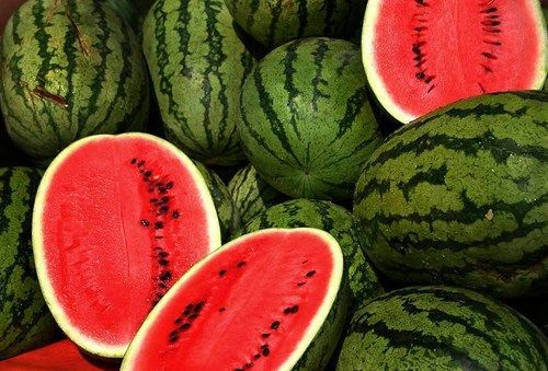 Melons Fresh Watermelons