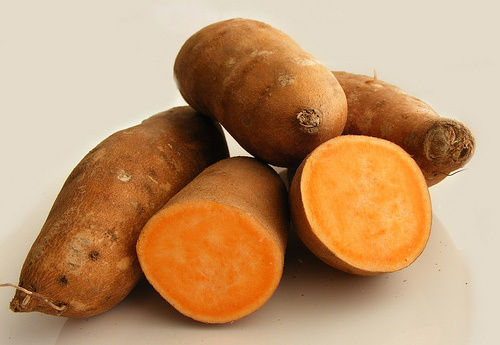 100% Polyester Sweet Potatoes