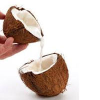 Coconut Milk