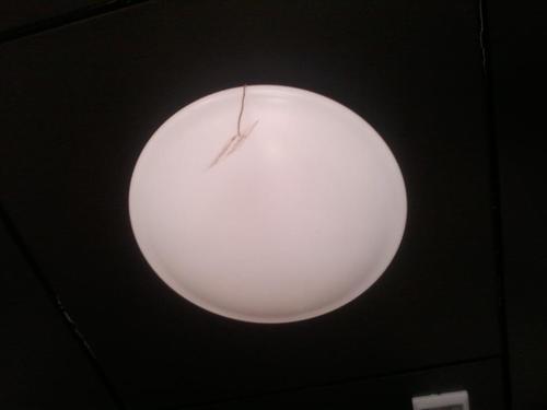 Flush Mount Ceiling Light