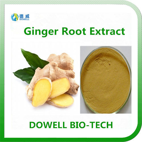 Ginger Root Extract