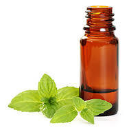 Basil Oils