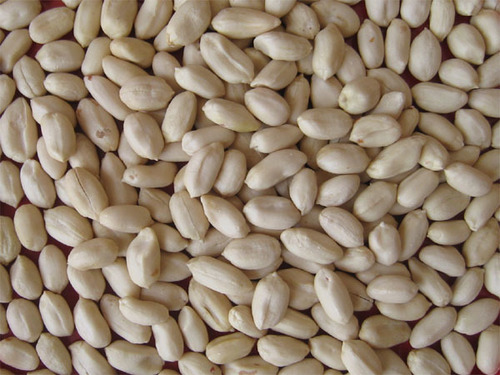Semi Automatic Blenched Peanut