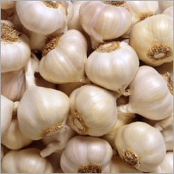 High Grade Fresh Garlic