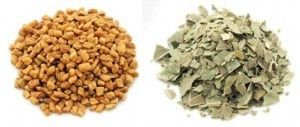 Fenugreek