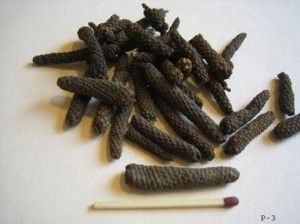 Long Pepper