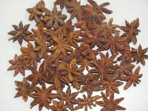 Star Aniseeds