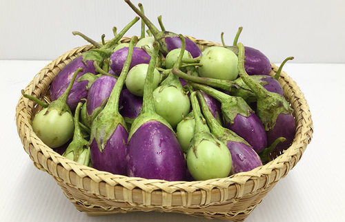 Brinjal