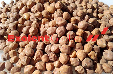 Chick Peas - Premium Quality Nutrient-Rich Legumes | Sourced from Reputable Producers, Market Leading Taste