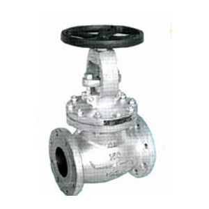 CS Globe Valve Flanged