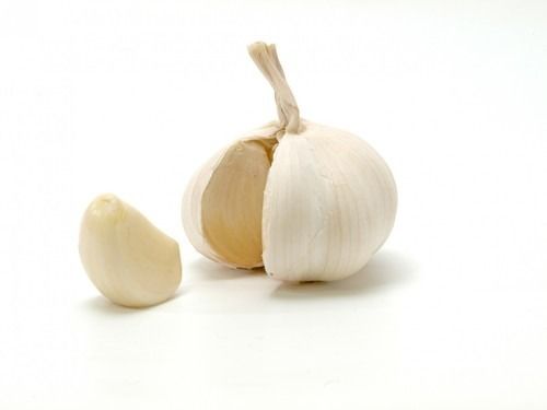 Garlic Oleoresin