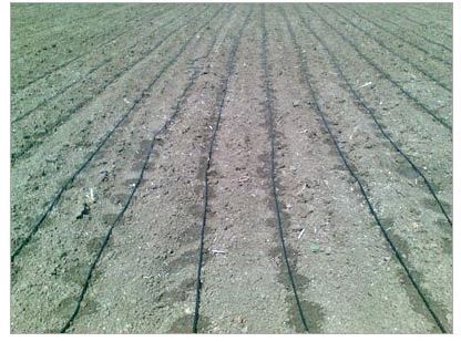 Agricultural Drip Irrigation Systems