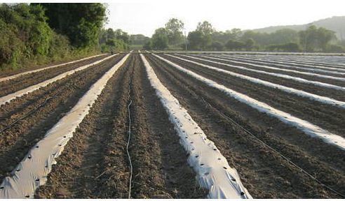 Agriculture Irrigation Systems