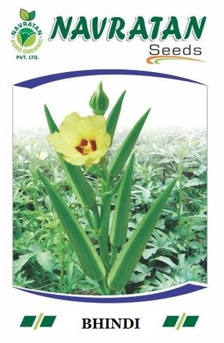 Kgp Lady Finger Seeds