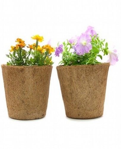 Set Of 2 Natural Brown 8'' Coir Pots