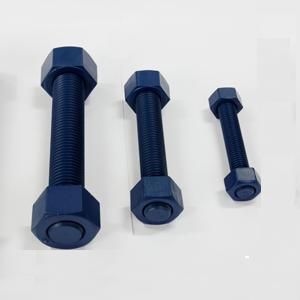 Fluoropolymer Stud And Hex Nuts