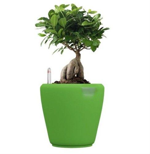 Green Self Watering Plastic planter