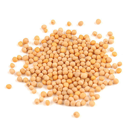 Mustard Seeds